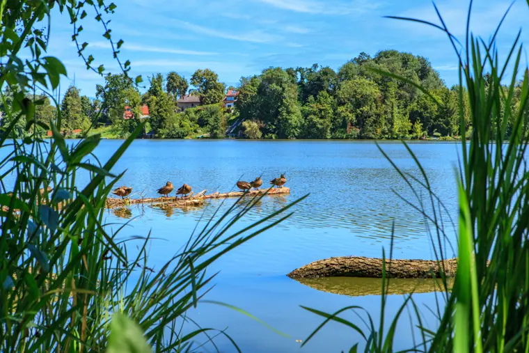 Freizeit am Wasser
